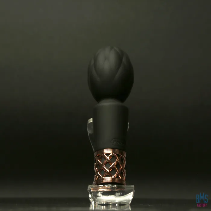 Vibrators Pillow Talk Secrets Pleasure Clitoral Vibrator Wand Black Pillow Talk
